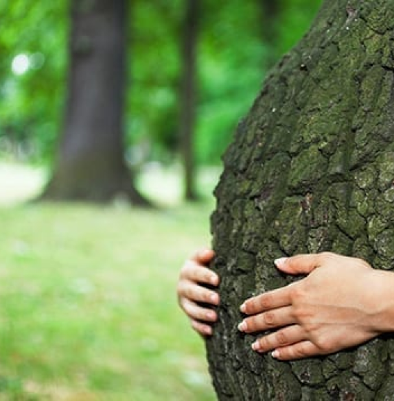 Produits naturels écologiques